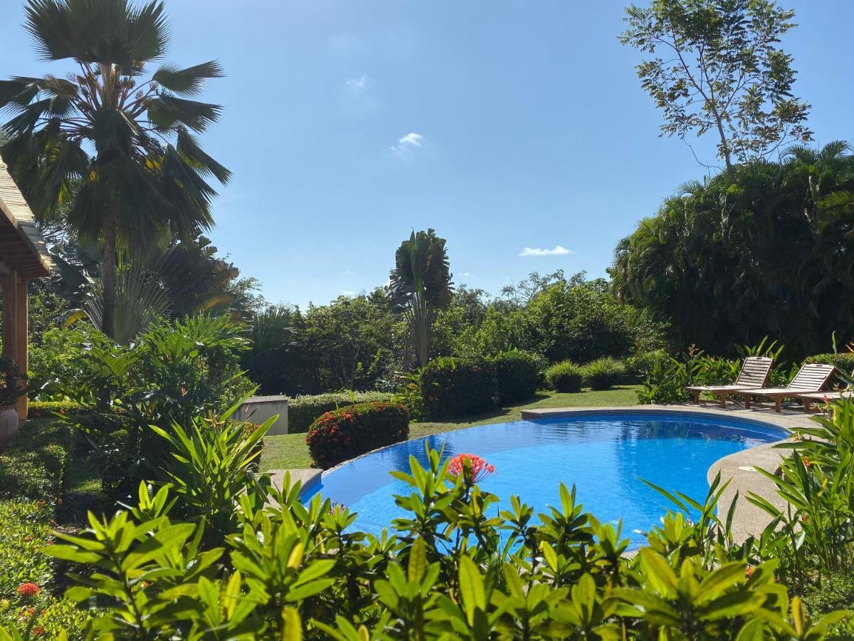 Palm Coast Luxury Rentals Esterillos Este Dış mekan fotoğraf